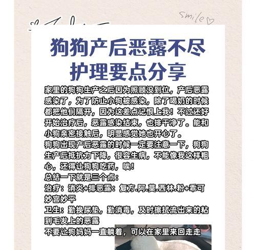 小狗生产后的恶露排出时间及注意事项（小狗产后排恶露的关键期和常见问题解答）