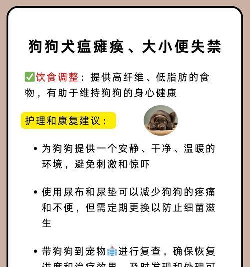 狗狗瘫痪的原因及防治方法（探究外伤性、病理性和中毒性引起狗狗瘫痪的原因及预防措施）