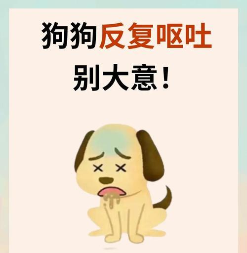 狗狗呕吐可能是因为吃错东西？胃炎或为其中原因（了解狗狗呕吐的原因，保持宠物健康）