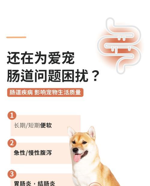 幼犬饮食需谨慎，别等到低血糖才懊悔（每顿仅20粒粮不够，提防低血糖的风险）