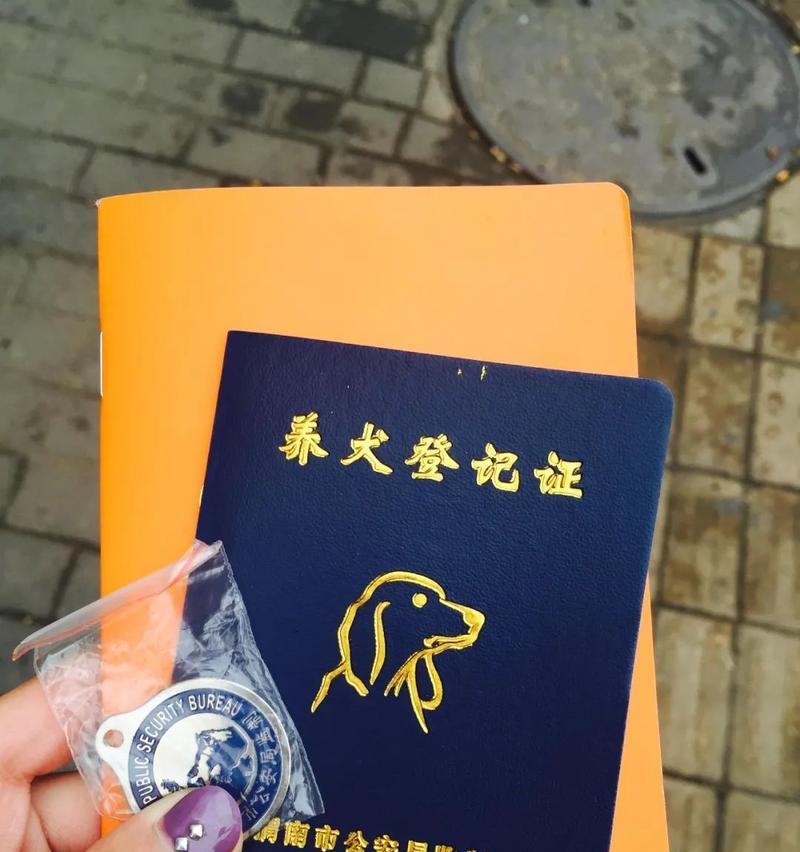 幼犬满三个月后如何申办养犬许可证（了解养犬许可证的申请流程，保障幼犬及社会的安全）