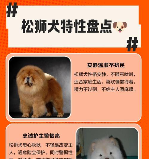 松狮犬的理想狗粮选择（为宠物提供消化友好的营养）