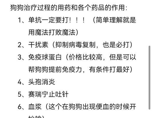 如何预防狗狗感染细小病毒？（掌握关键防控措施，守护爱宠健康）