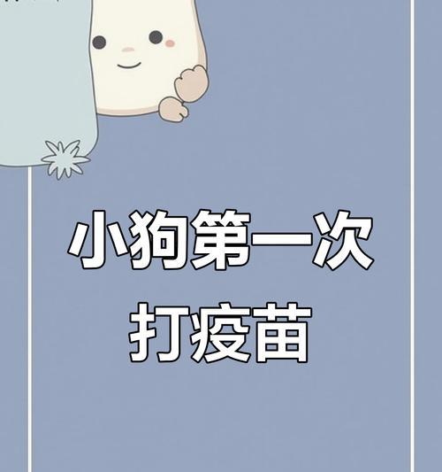 宠物犬打疫苗后的健康护理（养犬人士必知的幼犬疫苗养护指南）