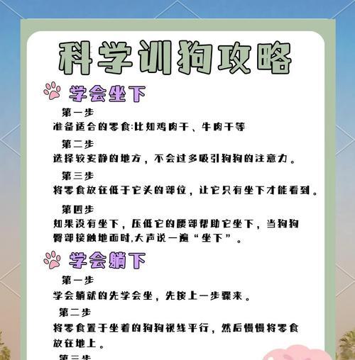 培养顺从的小狗（让你的狗狗听话并成为你的最佳伙伴）
