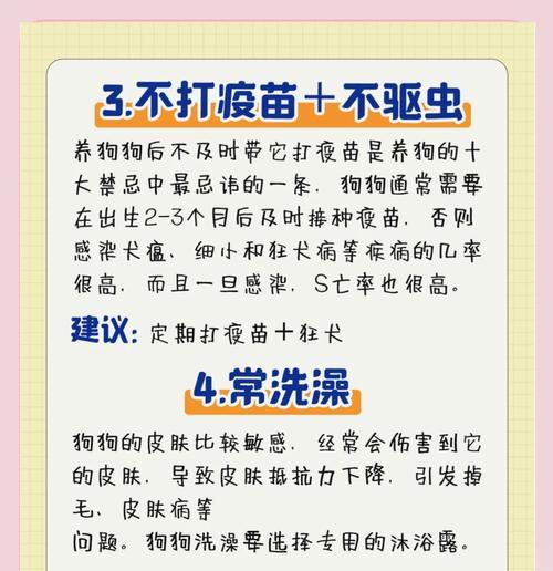 购买金毛需要注意的问题（了解金毛犬的品种特点、健康检查与培养要求）