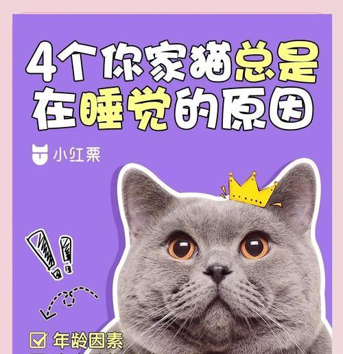 猫咪睡眠时间之谜（揭秘猫咪睡眠周期与健康关系）