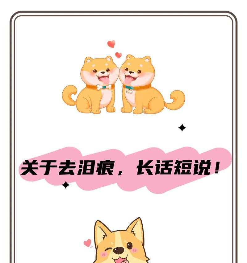 养狗不交智商税，你知道吗？（揭秘养狗的平替知识，让你少交智商税）