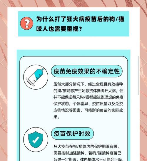 狗狗打完疫苗多久可以出门？（了解疫苗接种后宠物外出的最佳时机）
