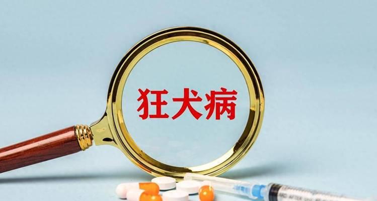 狗感染狂犬病潜伏期有多久？（揭秘狂犬病潜伏期长短及相关防控知识）