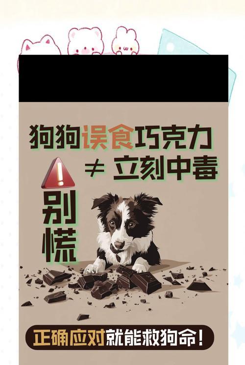 狗狗是否可以吃人类的药物？误食该如何处理？（了解狗狗食用人类药物的危害和正确的处理方式）