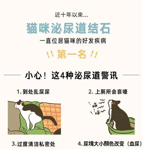 探究猫喝完水后多久排尿的时间规律（揭秘猫咪排尿频率，）