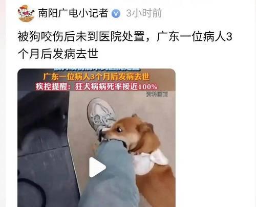 狗疫苗接种后何时可以出去？（保护爱犬健康的最佳时间安排）