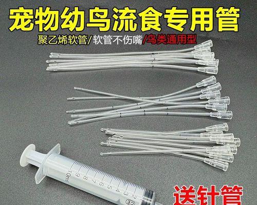 鹦鹉幼鸟的喂食时间及注意事项（了解鹦鹉幼鸟喂食的重要性，助您照顾好它们的健康成长）