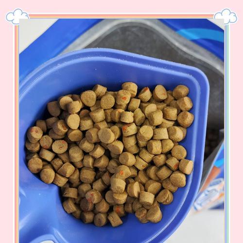 狗狗换粮拉肚子怎么办？（解决狗粮问题，避免拉肚子的小窍门）