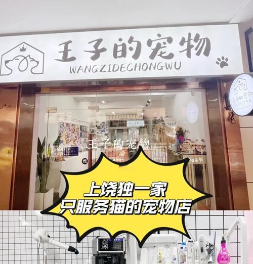 宠物店猫驱虫费用及注意事项（猫驱虫费用多少钱？宠物店猫驱虫的注意事项有哪些？）