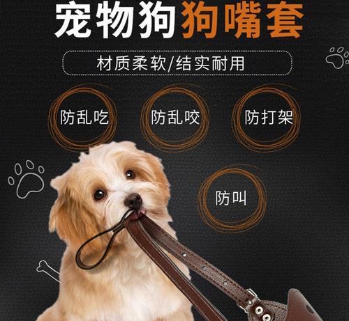 狗口罩（探究狗口罩的戴用时长和关键因素）