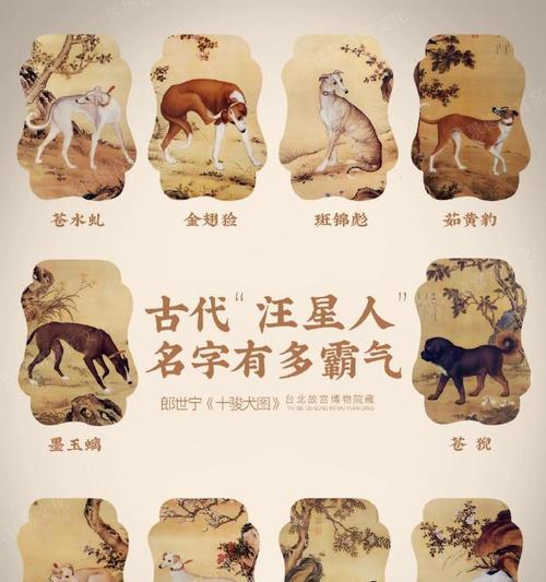 狗的别称大全（探索狗的丰富多样的别称，了解它们背后的故事）