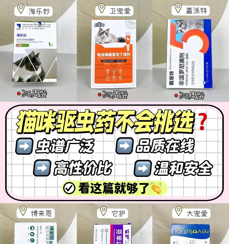 猫咪驱虫小知识（有效帮助猫咪驱虫的方法）