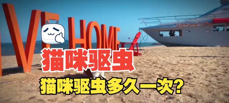 猫咪驱虫计划（了解猫咪驱虫的频率与方法，让你的爱宠健康成长）