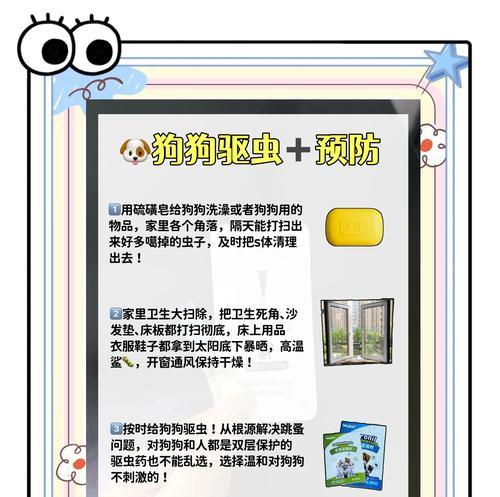 狗狗的驱虫频率及注意事项（宠物狗驱虫周期、适当选择驱虫药物、驱虫前后的注意事项）