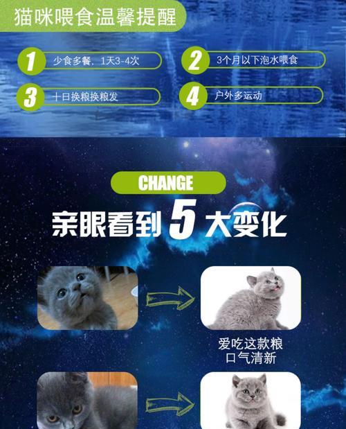 小猫多久会吃猫粮？（探究小猫吃猫粮的时间间隔）
