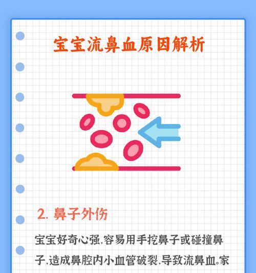 宠物流鼻血的原因及处理步骤（急救宠物鼻子流血，有效止血方法详解）