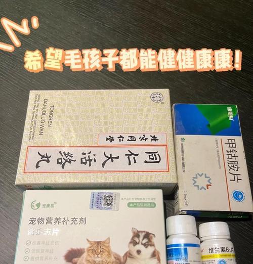 揭秘狗狗催情药（探索狗狗催情药的世界，助您了解如何正确使用）