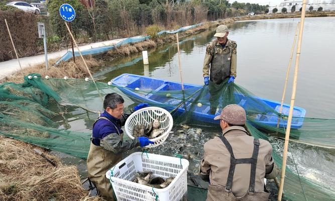 水产界最热门的11种研究物种及其重要性（探索水产资源保护与利用的关键——11种研究物种）