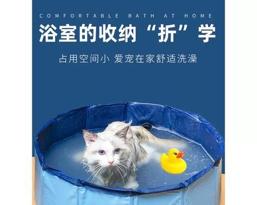 金毛狗狗洗澡的最佳频率及注意事项（金毛狗狗洗澡间隔、洗澡用品以及洗澡技巧）