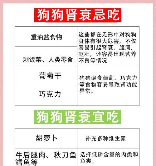 狗肾衰竭的治疗进程（探索治疗狗肾衰竭需要多长时间，以及影响治疗进程的关键因素）
