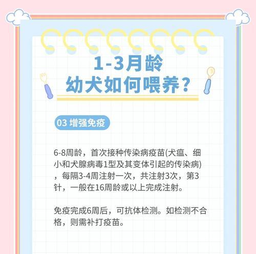 幼犬何时开始吃辅食？（探讨幼犬开始辅食的最佳时机）