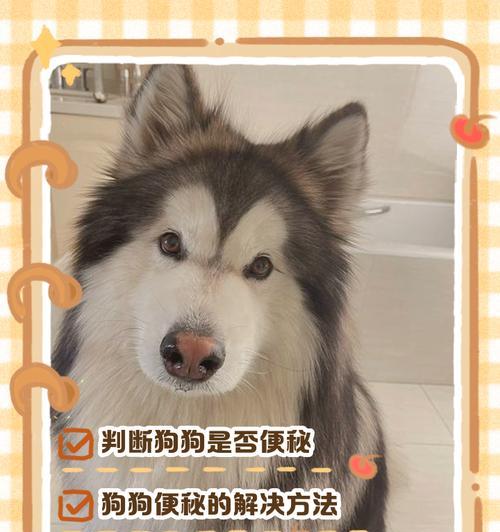 狗吃多久会排便？排便时间与健康的关键（探索狗吃食物后排便的时间周期及其影响因素）