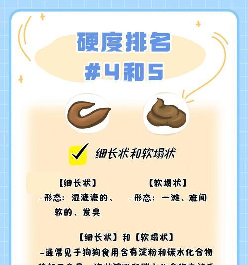 狗狗便便揭示的身体健康秘密（探索狗狗便便中蕴含的关键健康信息）
