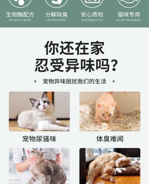 宠物尿渍快速清除技巧（掌握这些小妙招，告别烦恼！）
