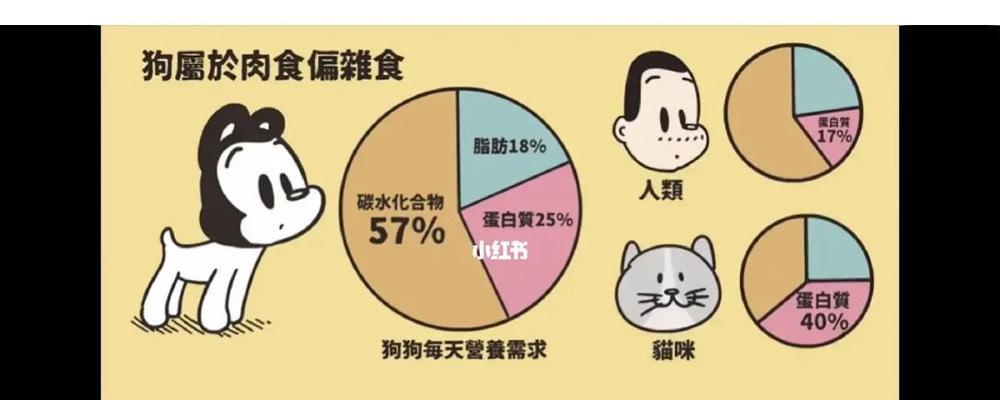 合适的狗狗每日食量是多少？（关于狗狗每日总食量的问题）