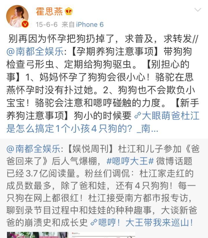 狗狗怀孕多久打虫（狗狗怀孕期间打虫的重要性及最佳时机）