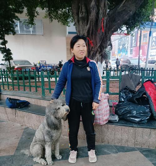 简单一招，让狗狗学会执行“站立”的命令（如何训练狗狗站起来走路）