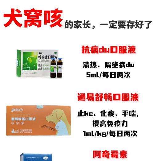 狗感冒药物治疗时间及效果观察（狗感冒药物治疗效果的关键因素及建议）