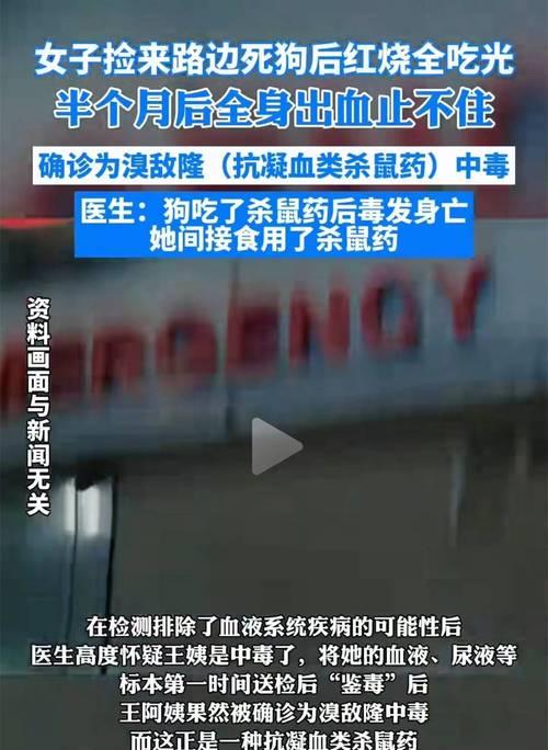 狗吃完老鼠药后的致命时间（揭秘狗吃老鼠药后的生死时刻，了解关键因素）
