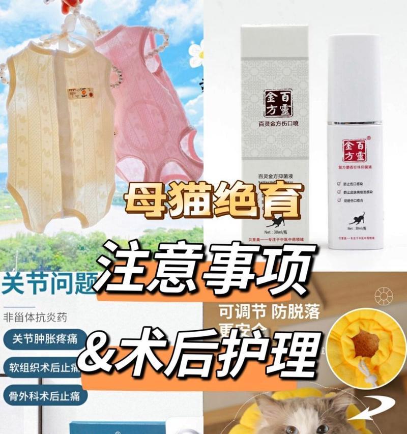 猫麻药醒来需要多长时间？（揭秘猫麻药醒来的时间和影响因素）