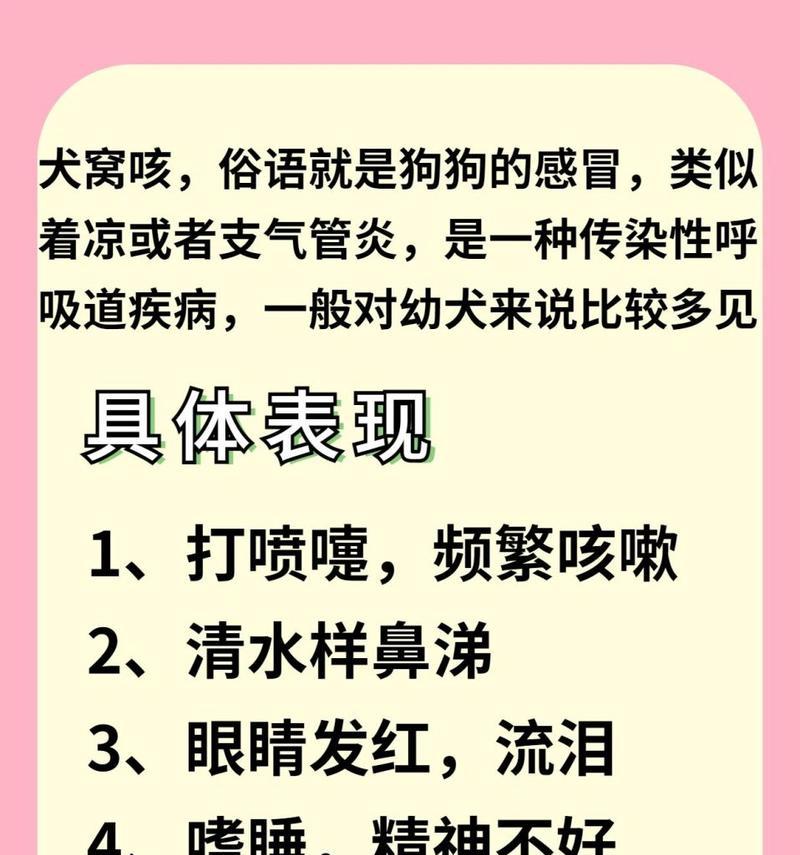 狗狗犬窝咳多久能好的关键因素（探讨犬窝咳康复时间的影响因素）