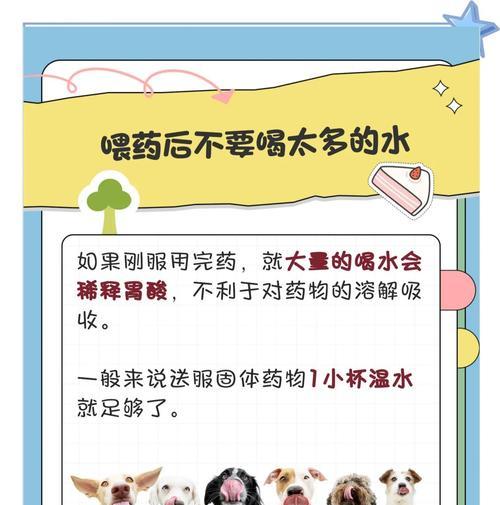 狗狗吃草是否需要洗胃？（小心误食有农药的草！该阻止狗狗吃草吗？）