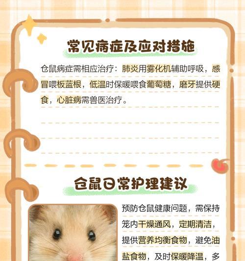 仓鼠常见病症及处理方法（了解仓鼠的健康问题，保护宠物小伙伴）
