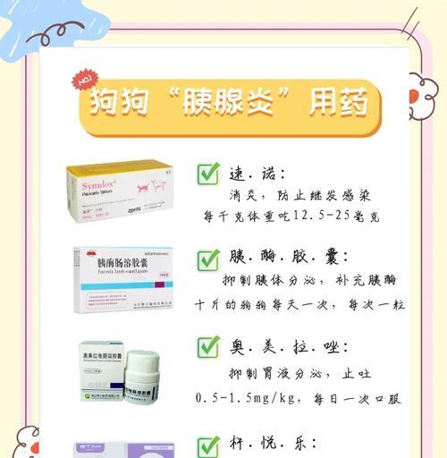 狗肠炎注射用药指南（药物治疗狗肠炎的有效方法）