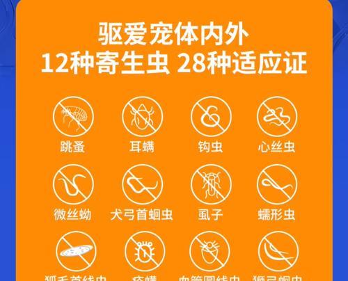 幼犬驱虫药的使用时机与注意事项（幼犬何时开始使用驱虫药？常见的驱虫药有哪些？）