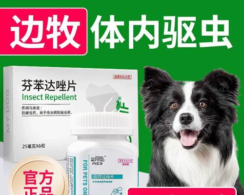 狗狗体内寄生虫的快速处理方法（解决狗狗寄生虫问题的有效方法）