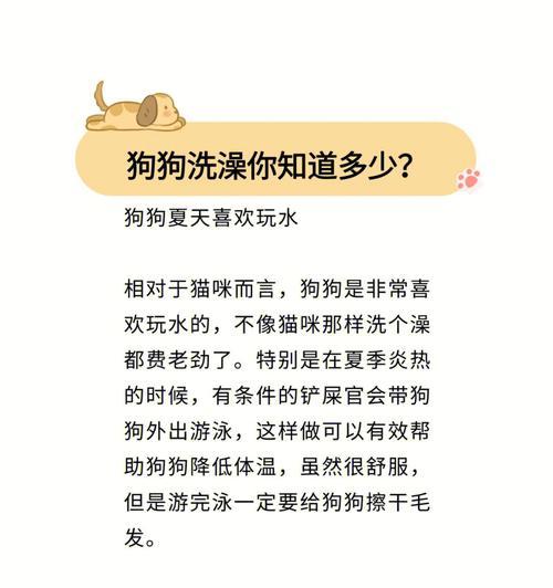 新生泰迪狗狗的洗澡时间表（让你的宠物狗保持清洁与健康）