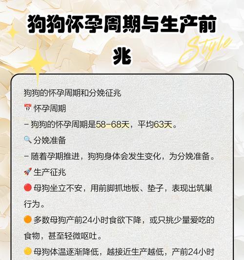 狗狗怀孕了怎么办？预防措施一览（避免狗狗意外怀孕，守护它的健康和幸福）