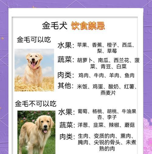 如何让三个月大的金毛不再脱毛？（有效控制金毛脱毛的方法与技巧）